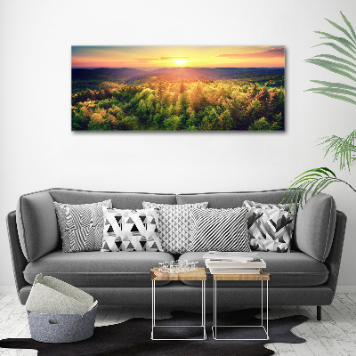 Acrylic wall art West forest