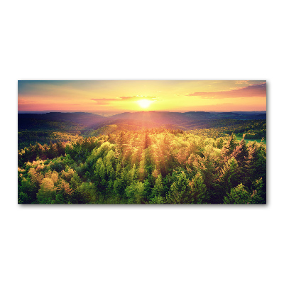 Acrylic wall art West forest