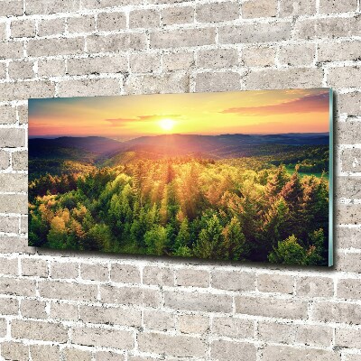 Acrylic wall art West forest