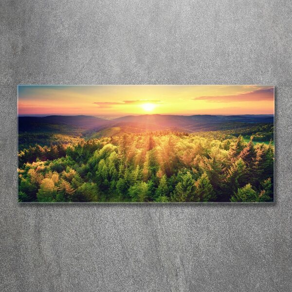 Acrylic wall art West forest