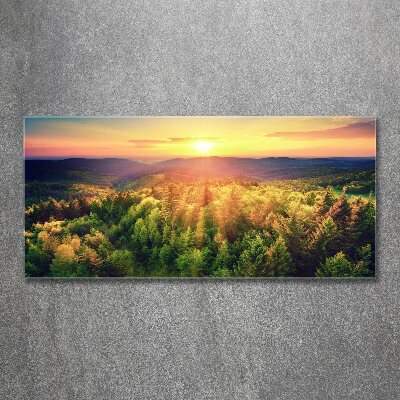 Acrylic wall art West forest