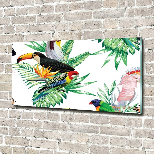 Glass acrylic wall art Tropical birds