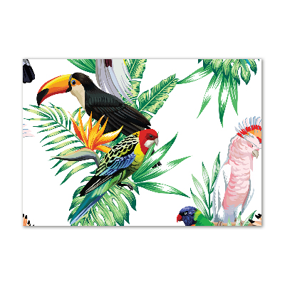 Glass acrylic wall art Tropical birds