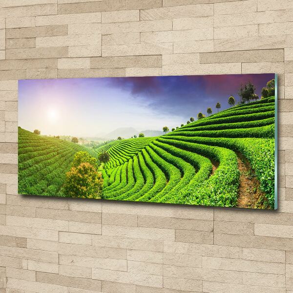 Acrylic wall art Tea plantation