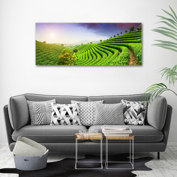 Acrylic wall art Tea plantation