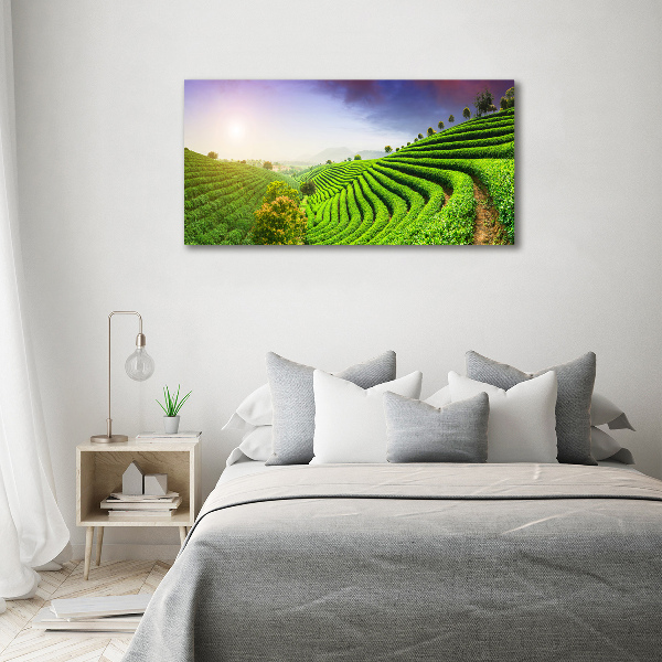 Acrylic wall art Tea plantation