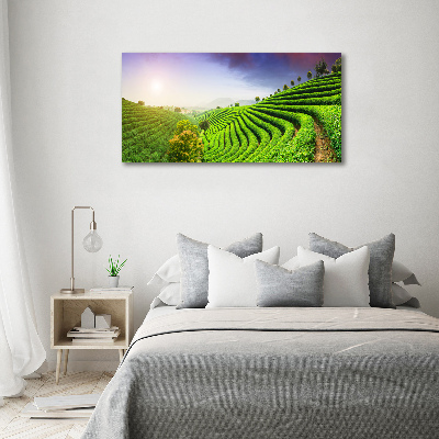 Acrylic wall art Tea plantation