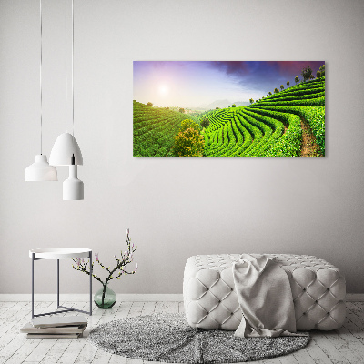 Acrylic wall art Tea plantation