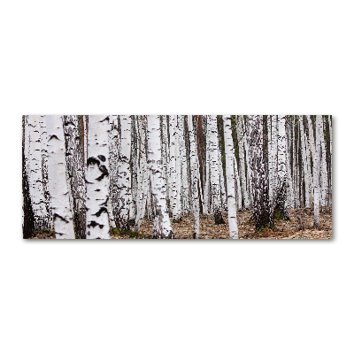 Wall art acrylic Birch