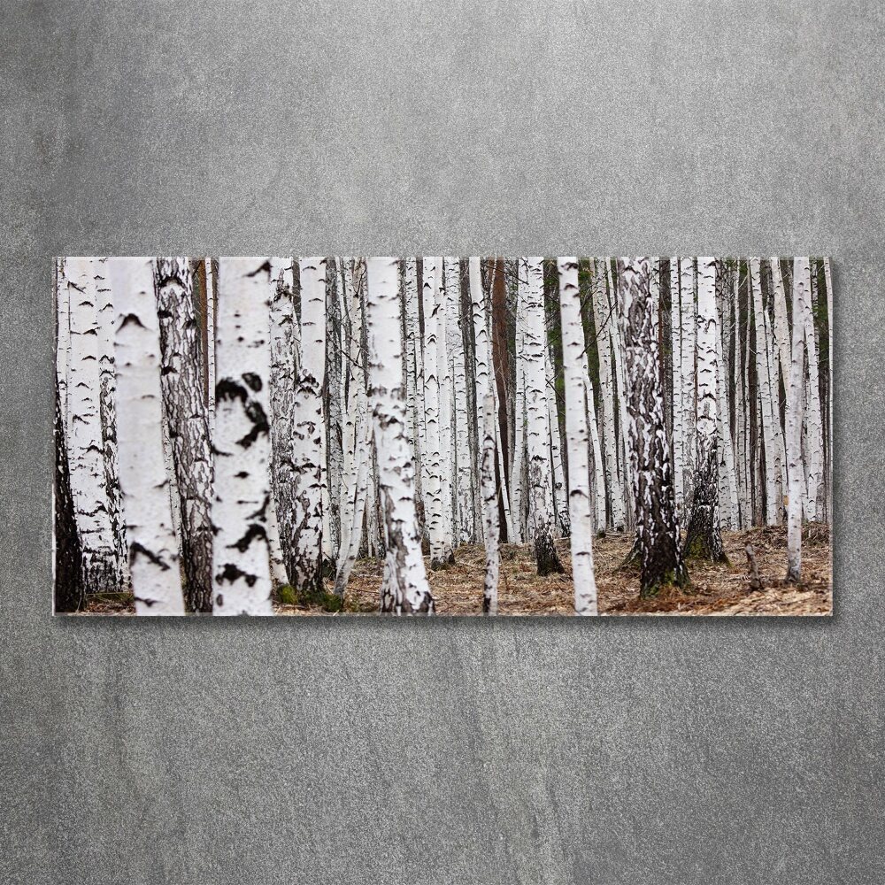 Wall art acrylic Birch