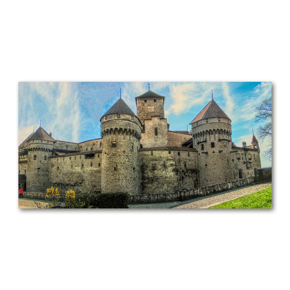 Acrylic wall art Castle in Switzerland