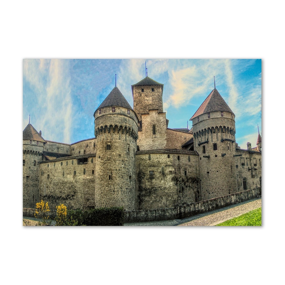 Acrylic wall art Castle in Switzerland