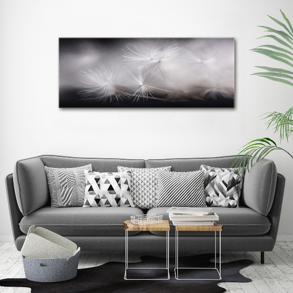 Print on acrylic Dandelion seeds