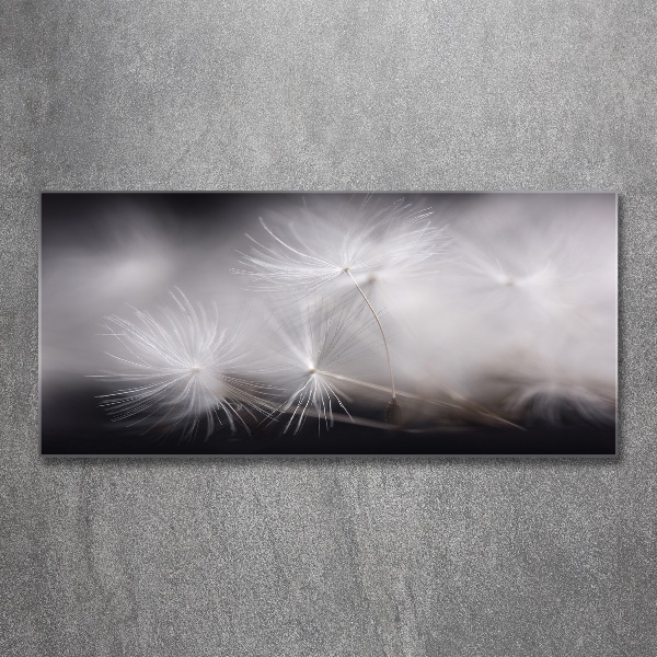 Print on acrylic Dandelion seeds