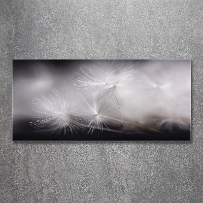 Print on acrylic Dandelion seeds