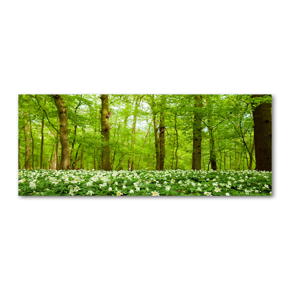 Acrylic print Flowers in the forest