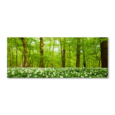 Acrylic print Flowers in the forest