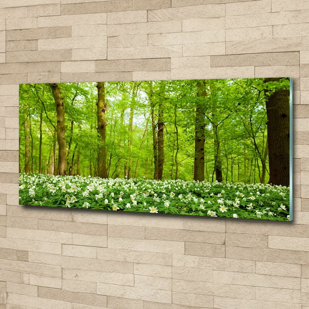 Acrylic print Flowers in the forest