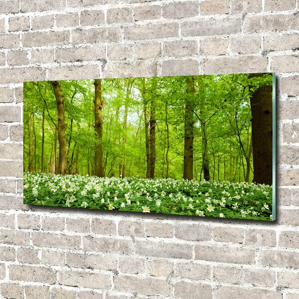 Acrylic print Flowers in the forest