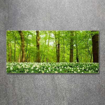 Acrylic print Flowers in the forest