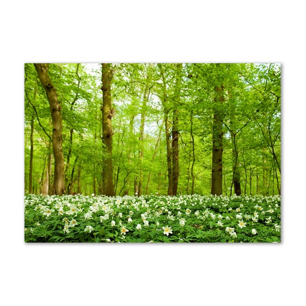 Acrylic print Flowers in the forest