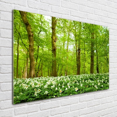 Acrylic print Flowers in the forest