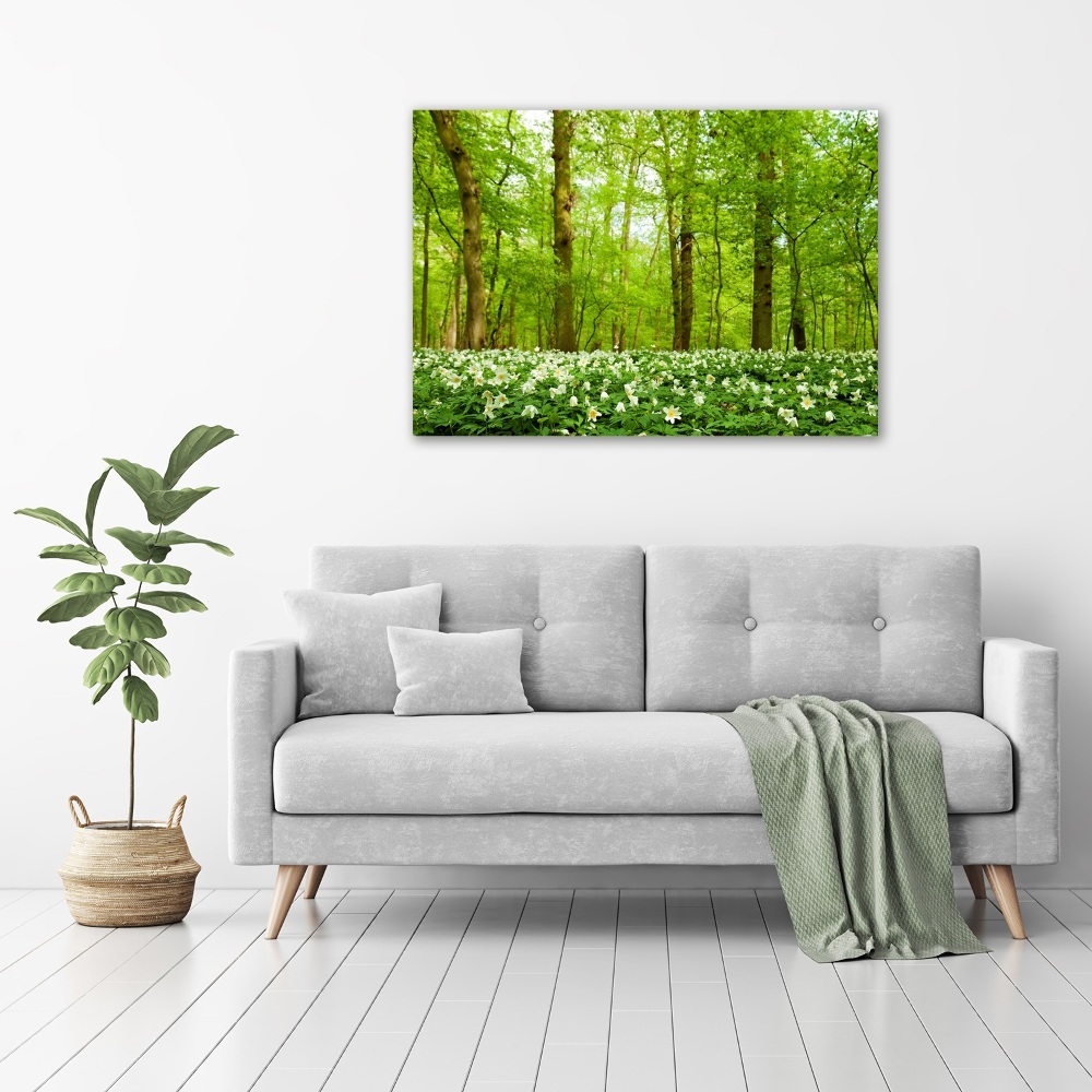 Acrylic print Flowers in the forest