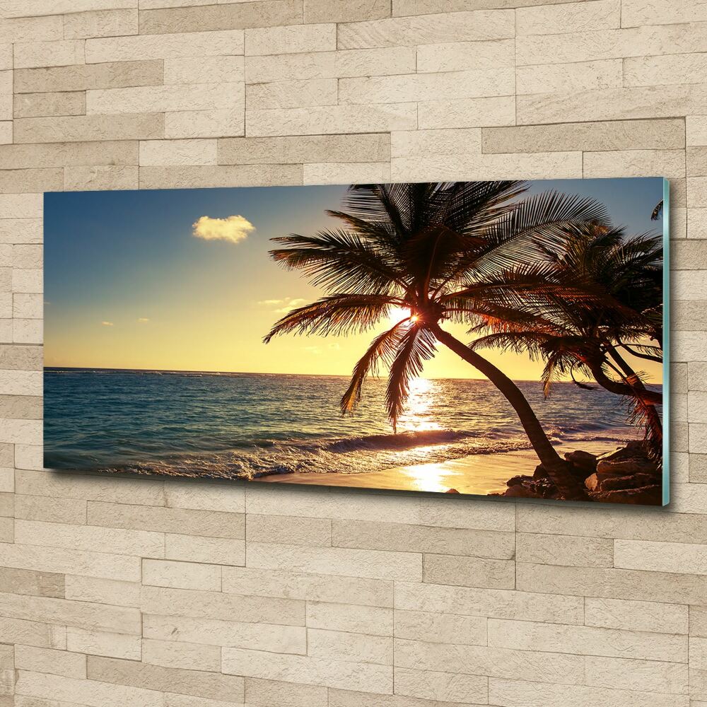 Glass acrylic wall art Tropical beach