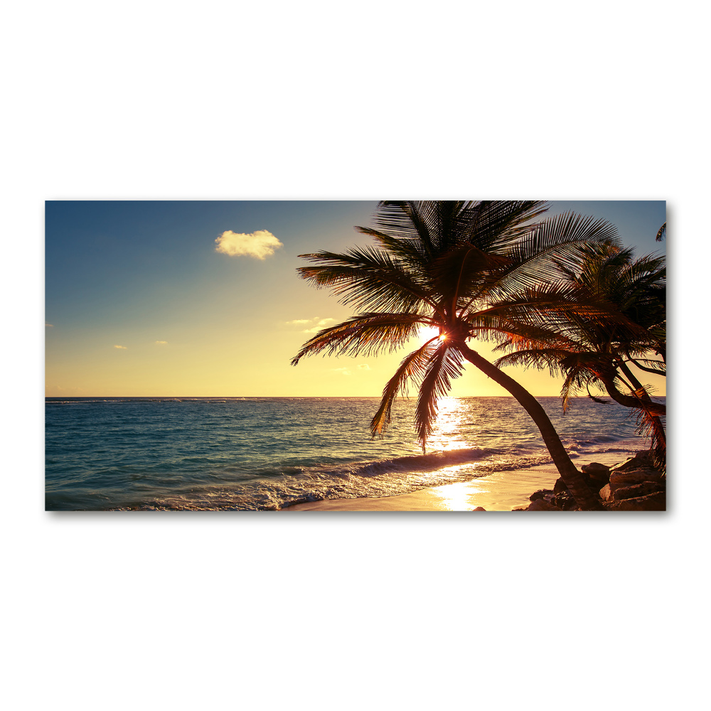 Glass acrylic wall art Tropical beach