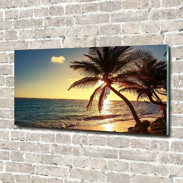 Glass acrylic wall art Tropical beach