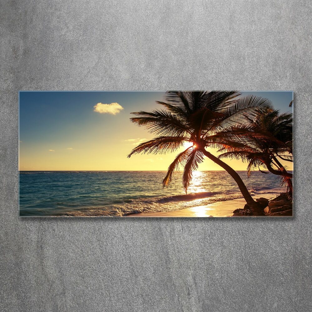 Glass acrylic wall art Tropical beach