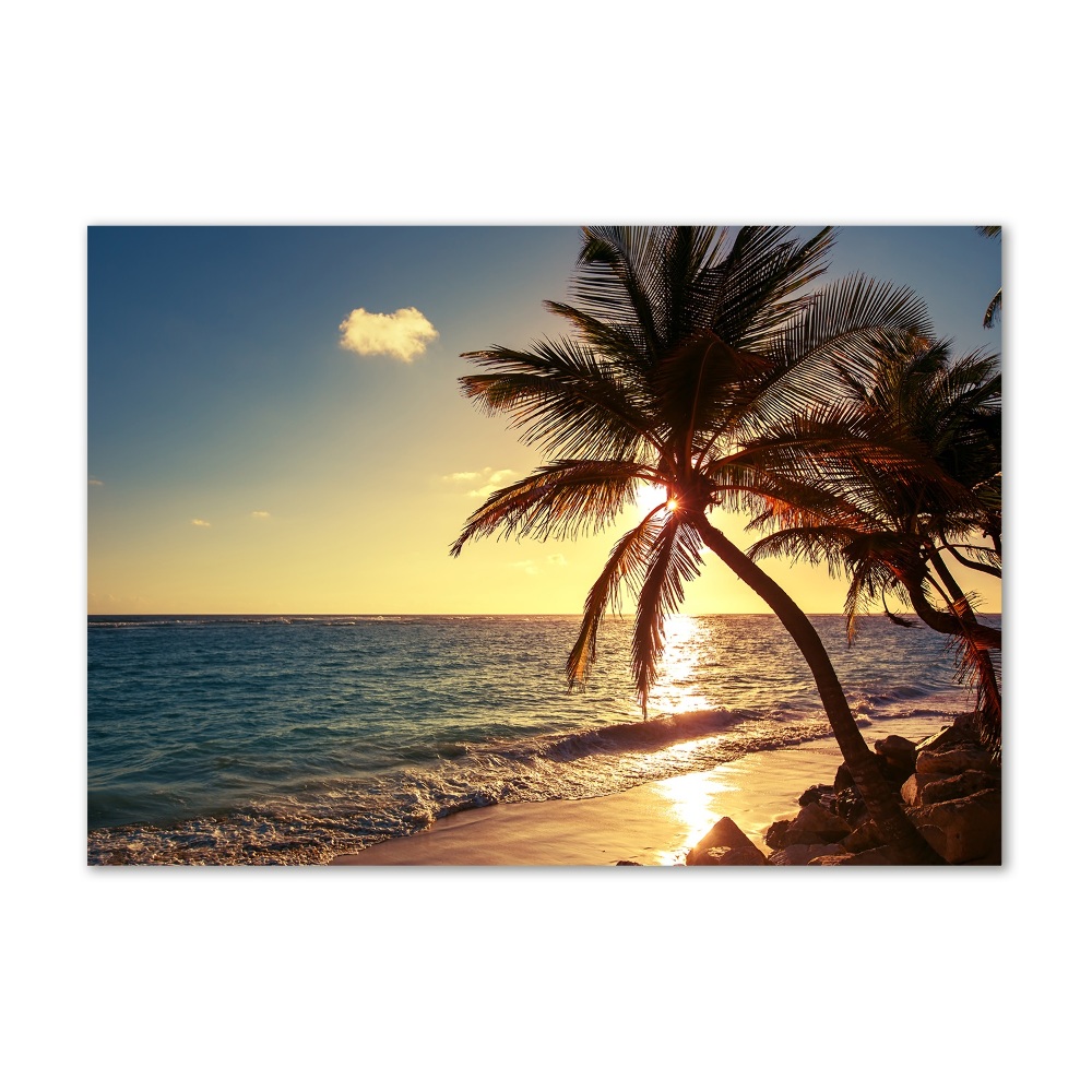 Glass acrylic wall art Tropical beach