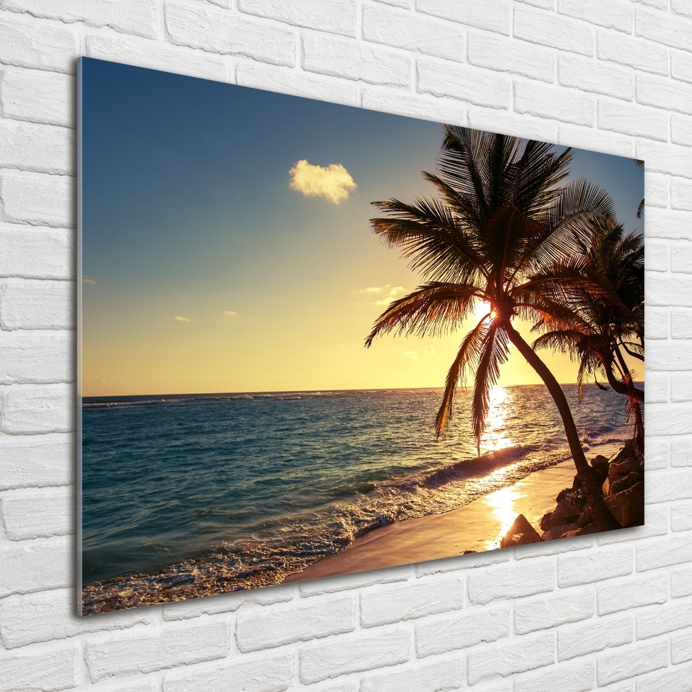 Glass acrylic wall art Tropical beach