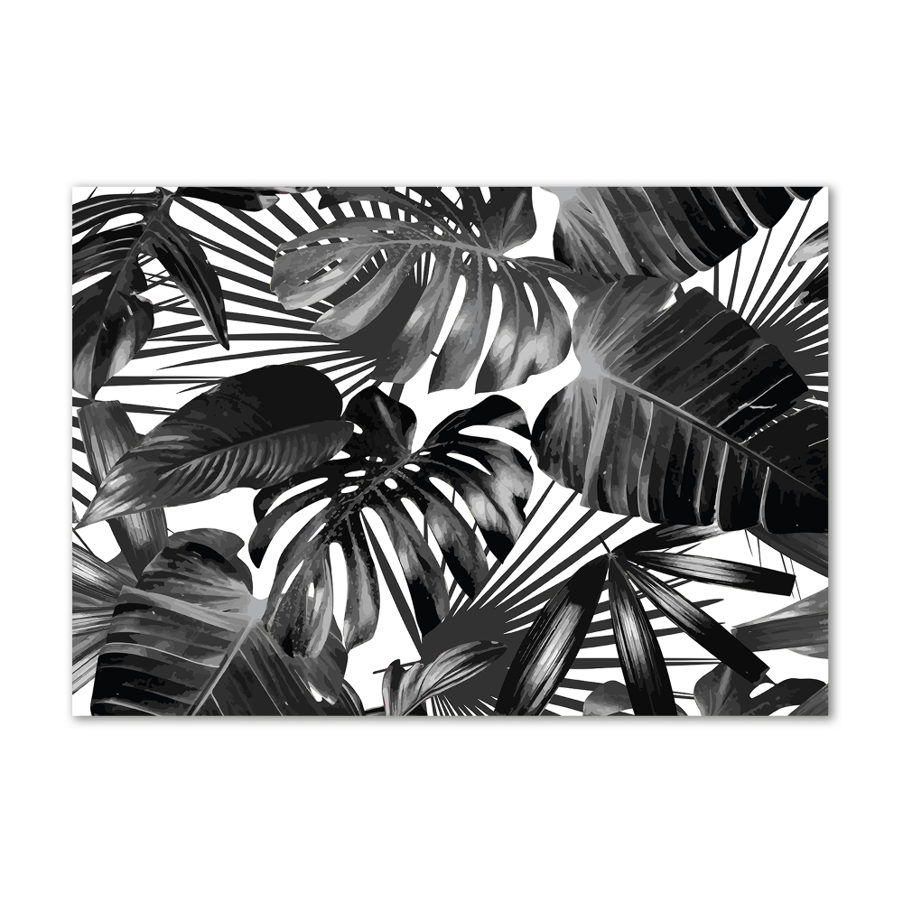 Print on acrylic Tropical leaves