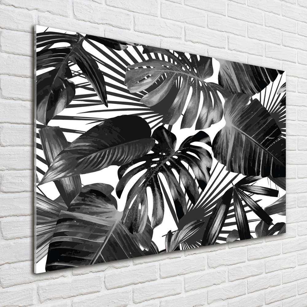 Print on acrylic Tropical leaves