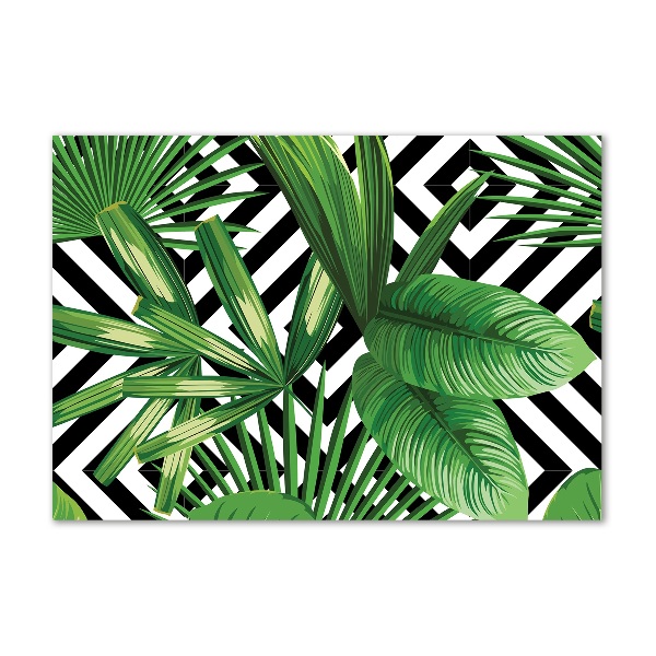 Print on acrylic Tropical leaves