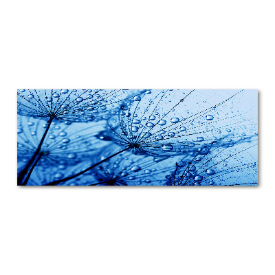 Print on acrylic Dandelion seeds