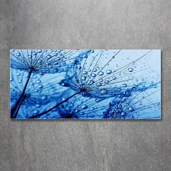 Print on acrylic Dandelion seeds