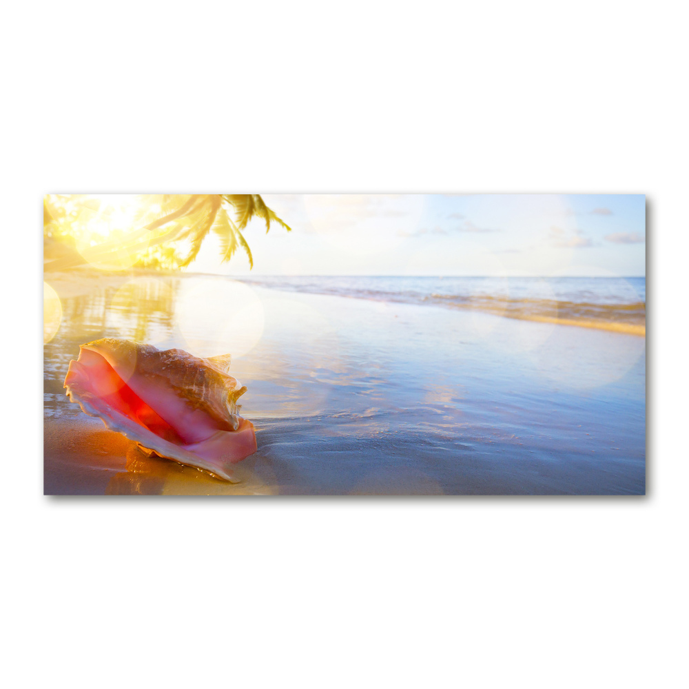 Glass acrylic wall art Beach shell