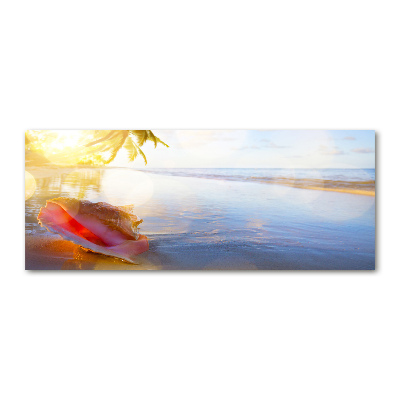 Glass acrylic wall art Beach shell