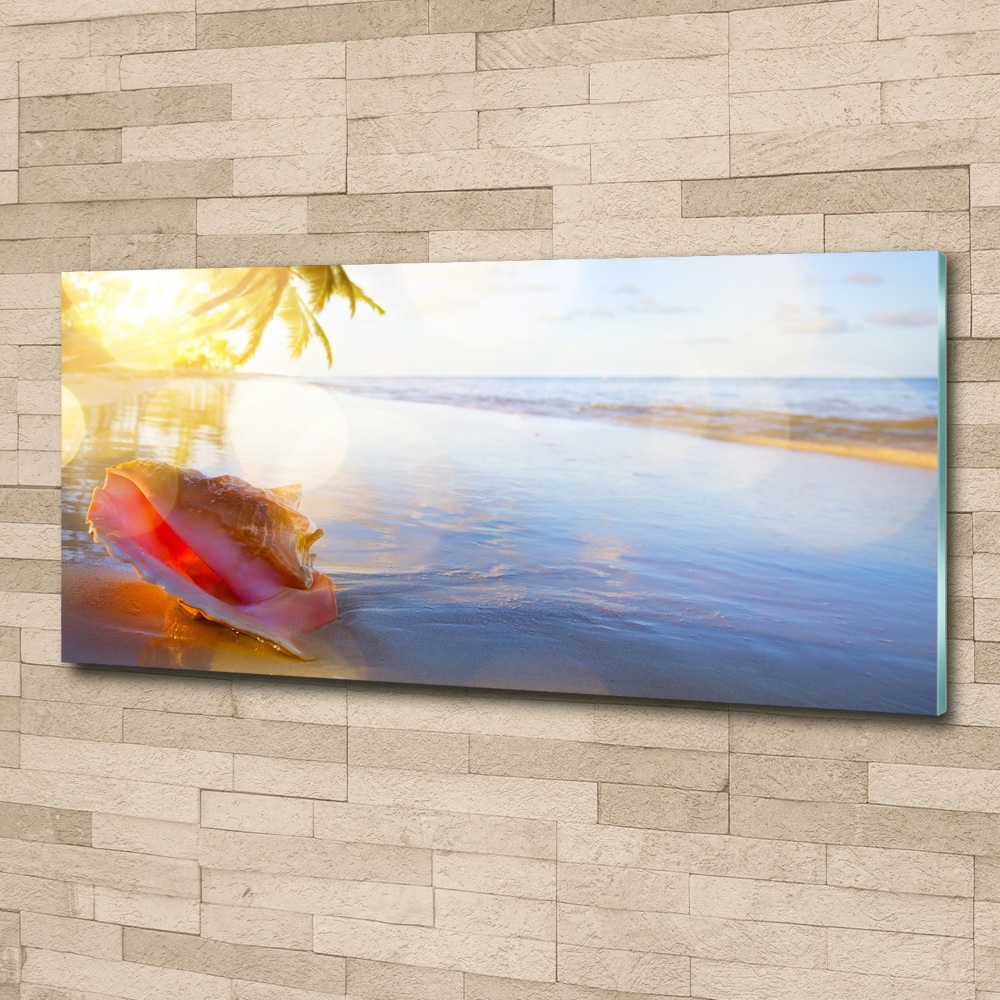 Glass acrylic wall art Beach shell