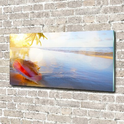 Glass acrylic wall art Beach shell