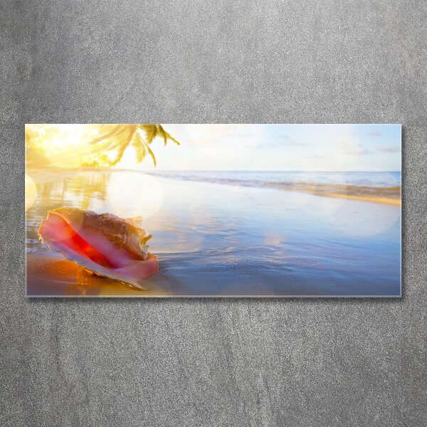 Glass acrylic wall art Beach shell