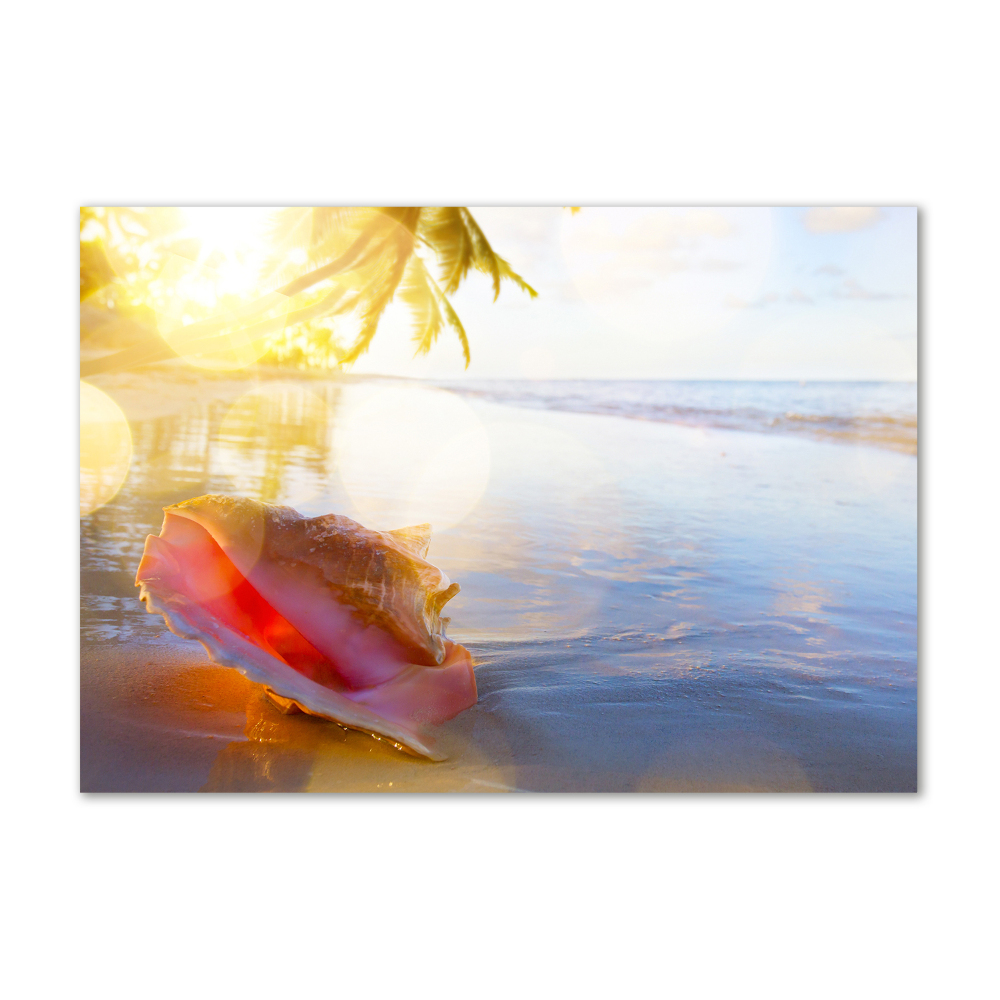 Glass acrylic wall art Beach shell