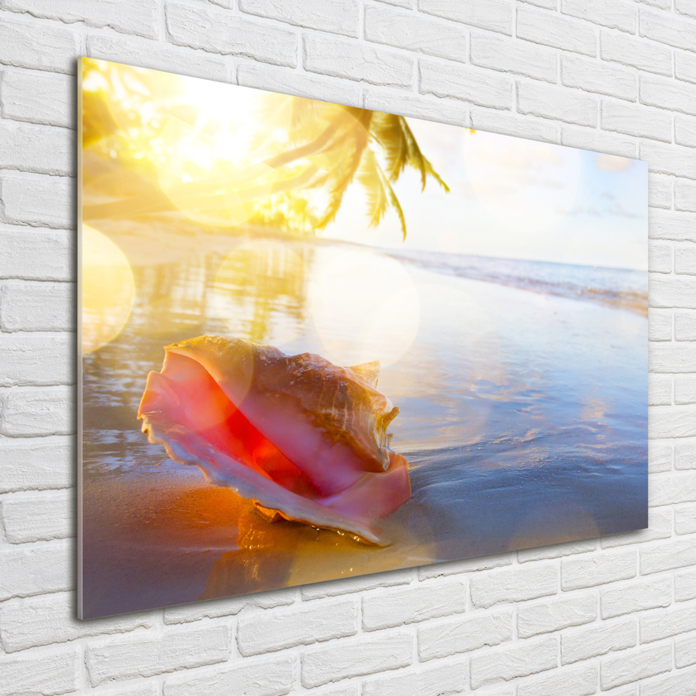 Glass acrylic wall art Beach shell