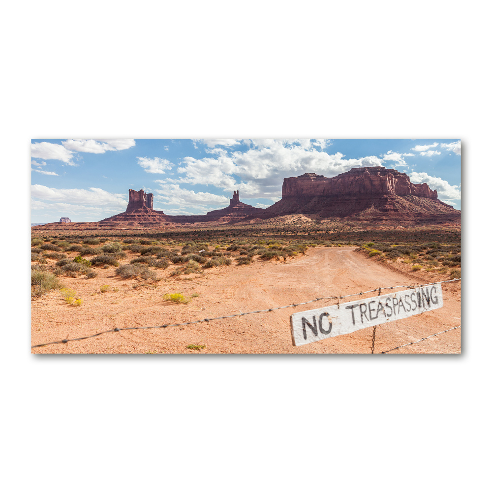 Glass acrylic wall art USA Arizona