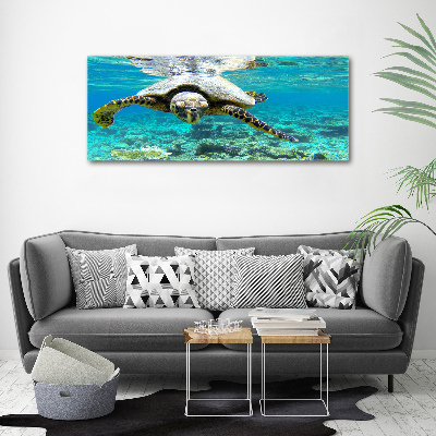 Acrylic wall art Sea turtle