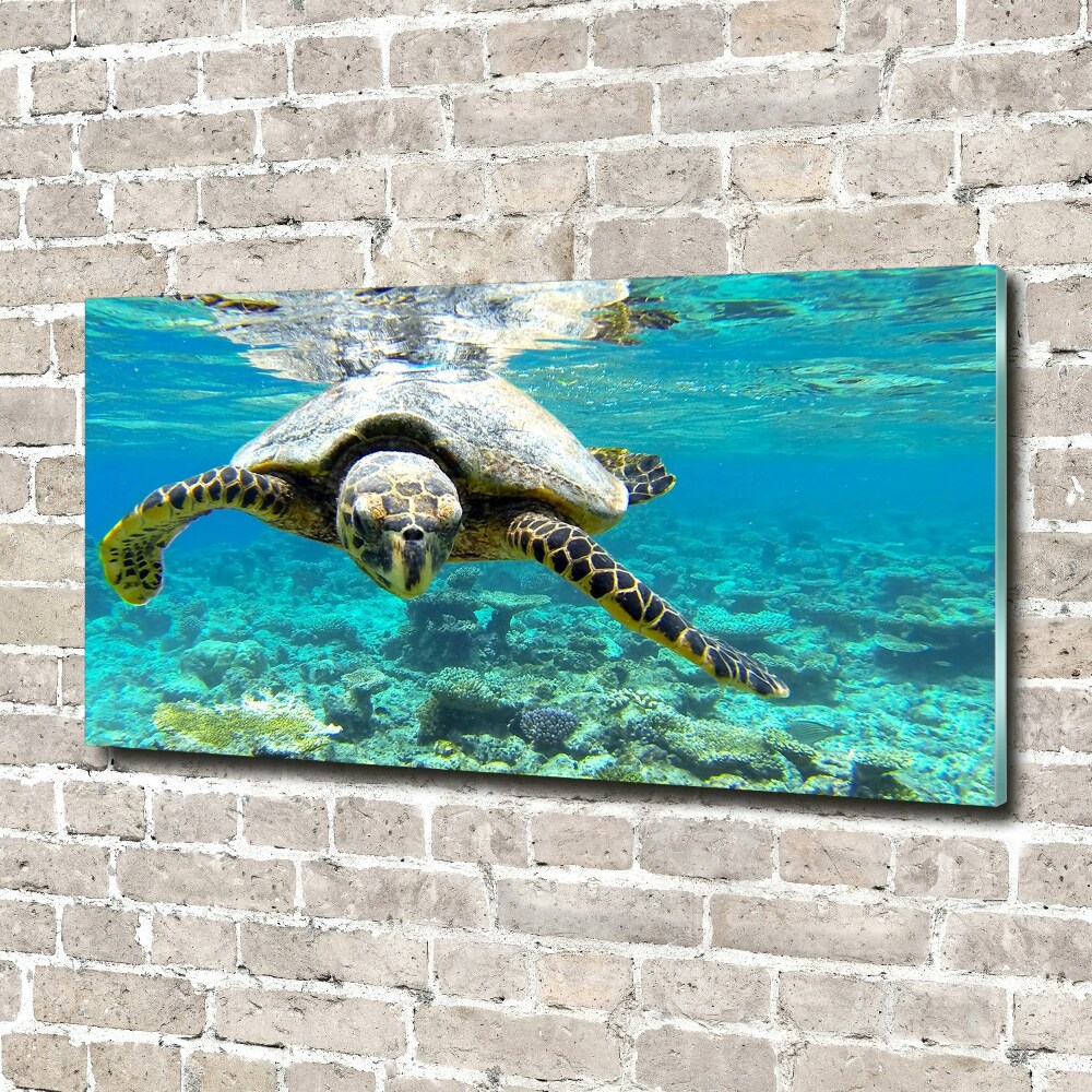 Acrylic wall art Sea turtle