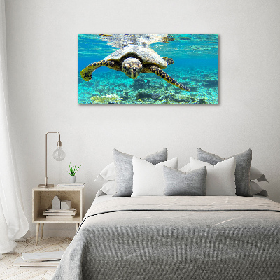 Acrylic wall art Sea turtle