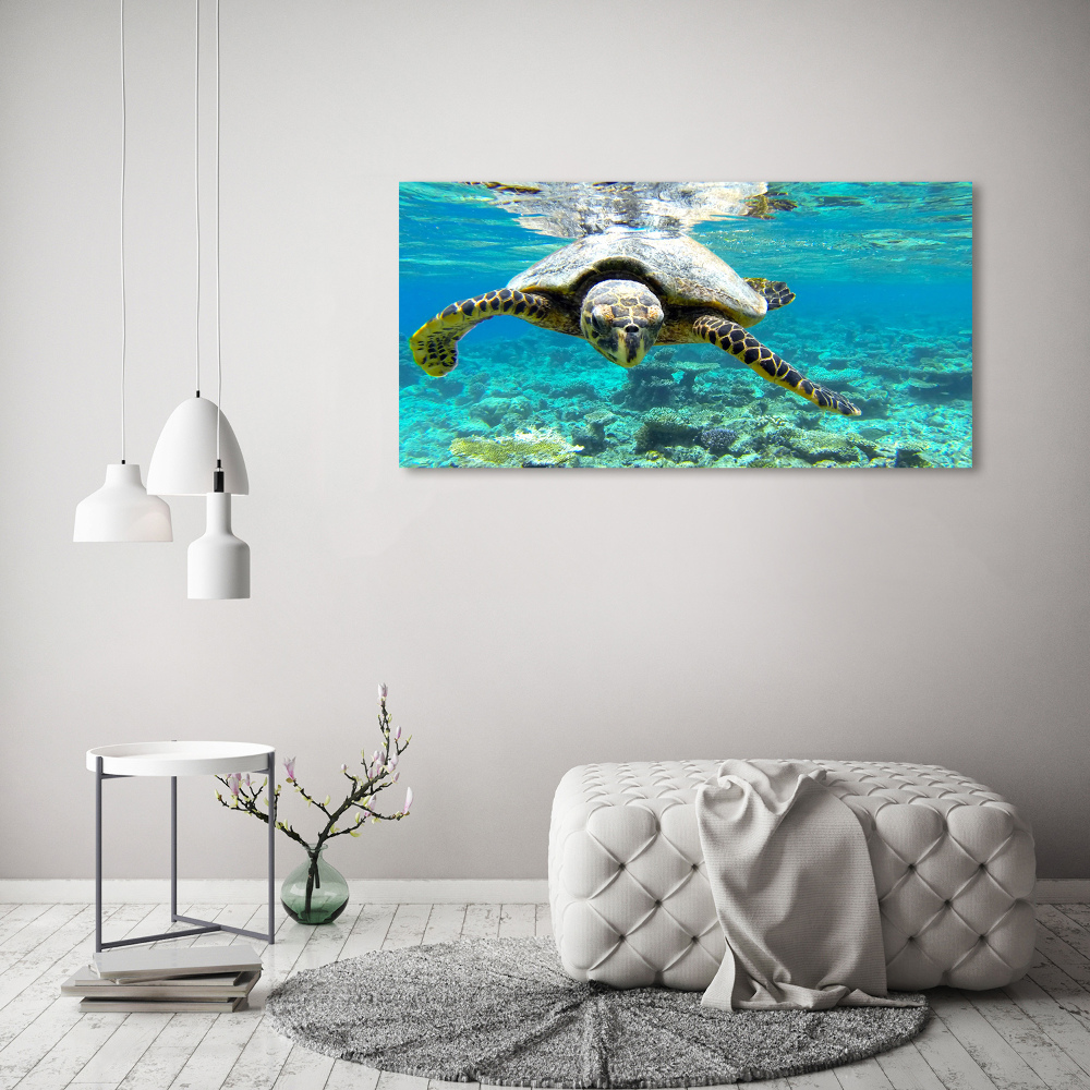 Acrylic wall art Sea turtle